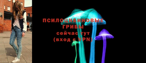 мяу мяу мука Гусиноозёрск
