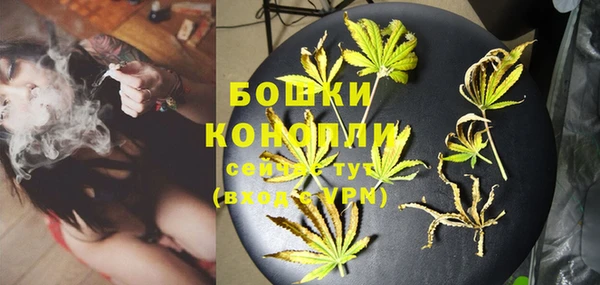 бошки Горнозаводск