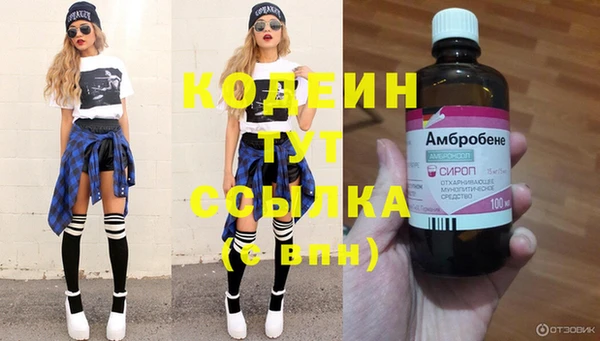 ПСИЛОЦИБИНОВЫЕ ГРИБЫ Гусь-Хрустальный