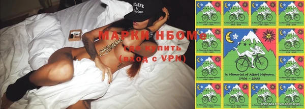 ПСИЛОЦИБИНОВЫЕ ГРИБЫ Гусь-Хрустальный
