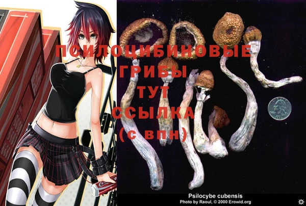 мяу мяу мука Гусиноозёрск