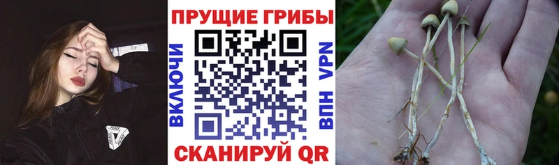 Галлюциногенные грибы мухоморы  Кукмор 